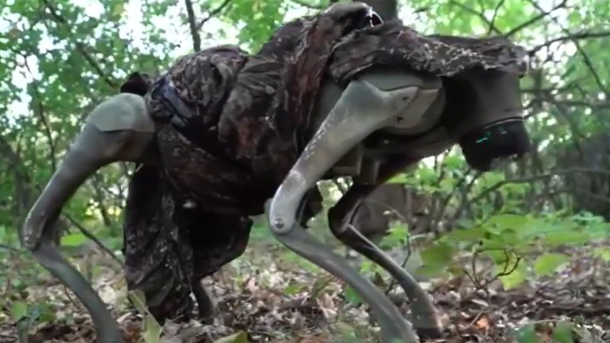 Ukraine shows off capabilities of new robotic war dogs: video