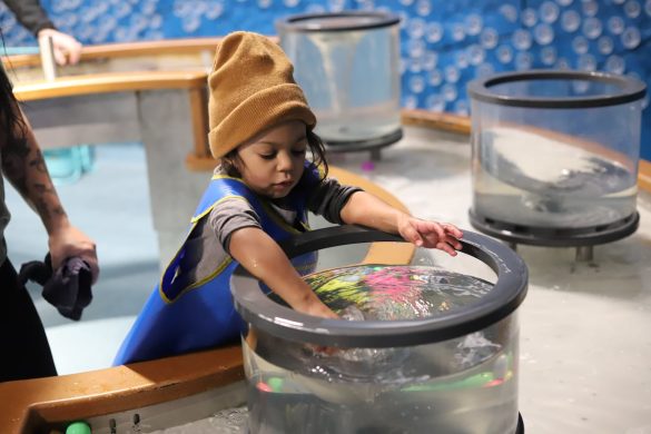 First-ever children’s museum on a military base gets top service award