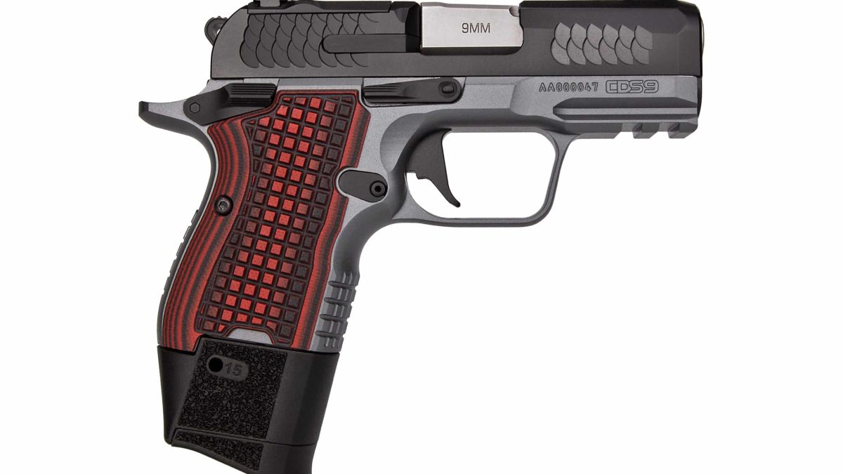 NEW the Kimber CDS9 Micro-Compact Pistol [First Look]