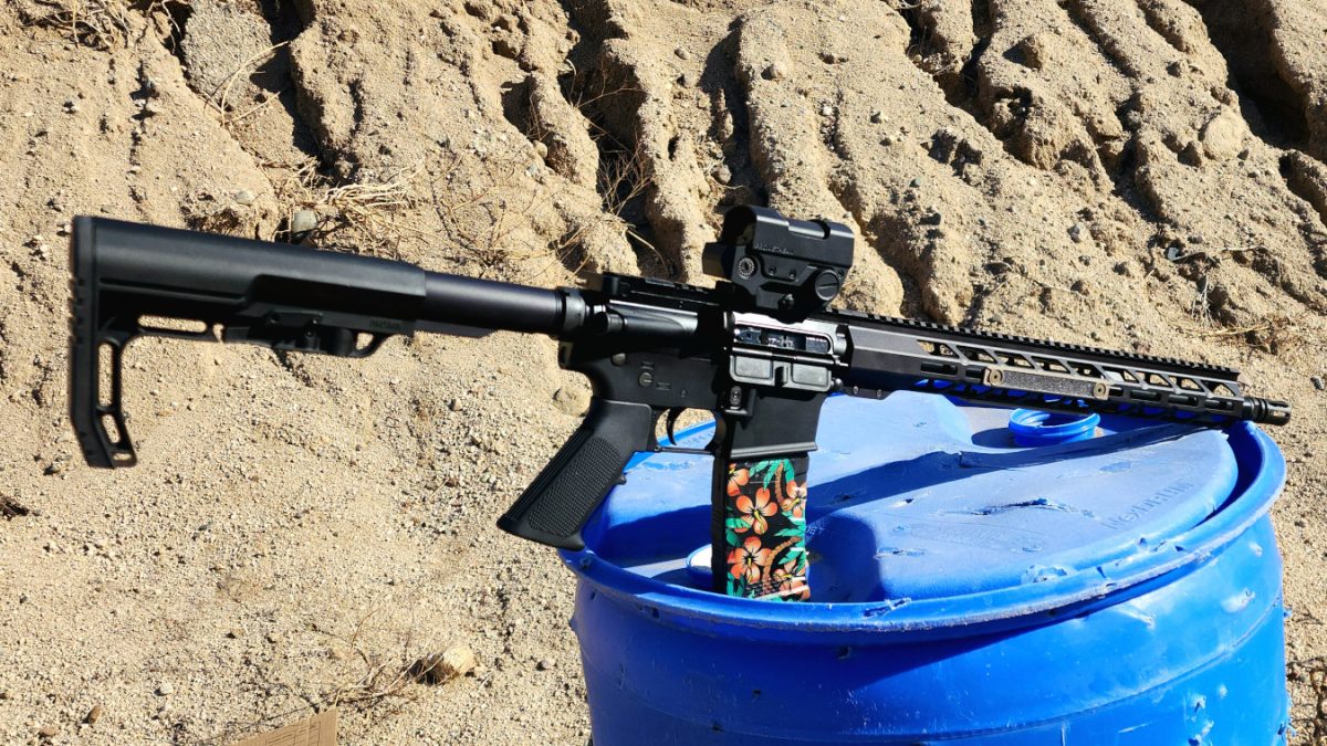 Patriot Ordnance Factory P-15 BASE: Best Budget AR Of The Year?