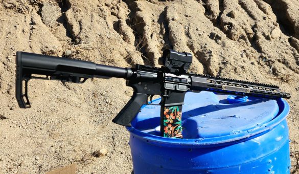 Patriot Ordnance Factory P-15 BASE: Best Budget AR Of The Year?