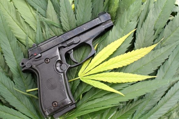 Pennsylvania District Attorney Suing To Allow Medical Marijuana Users Firearms Access