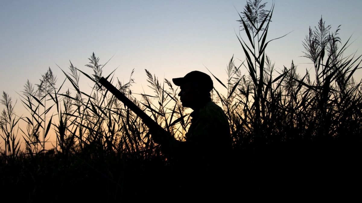 Wyoming Duck Hunter Says Fatal Shooting Was Accident