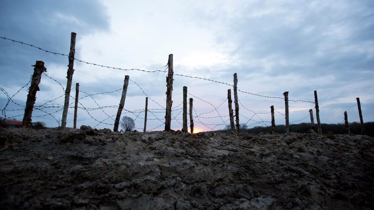 Why the 1914 Christmas Truce changed nothing on the Western Front