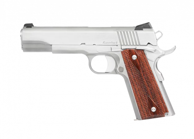 Dan Wesson Razorback RZ-10