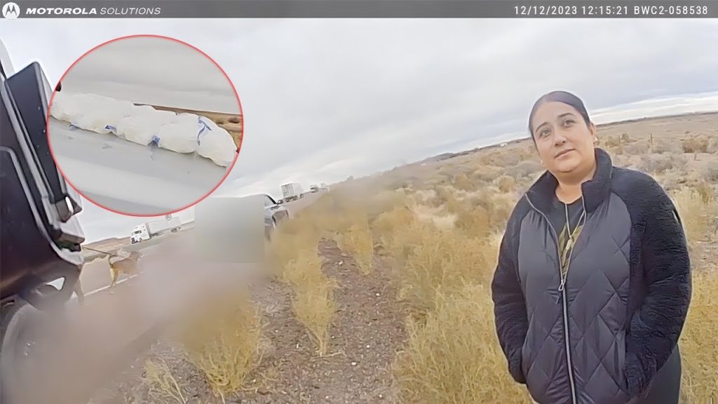 Cops Found .2 Million in Drugs Before She Could Pick Up Her Kids