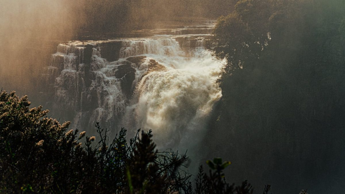 Salvation In Africa: One Marine’s Journey Back From The Edge