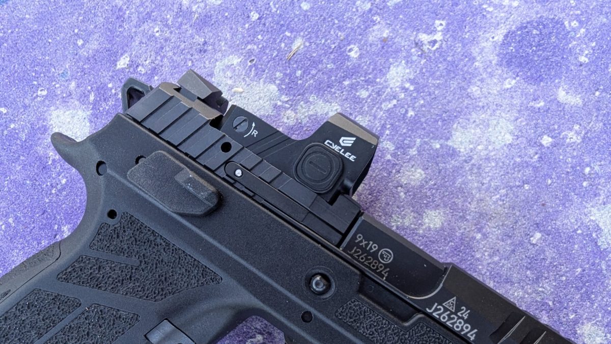 Is the Cyelee CAT0 Worth $150?