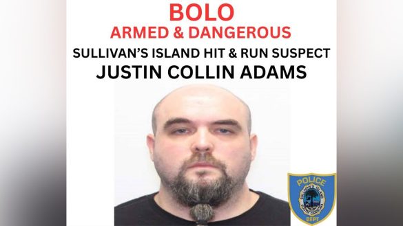 South Carolina hit-and-run suspect captured after manhunt