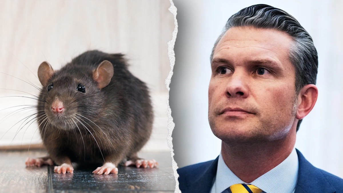 PETA thanks Trump admin for Navy ban, pushes for animal research restrictions
