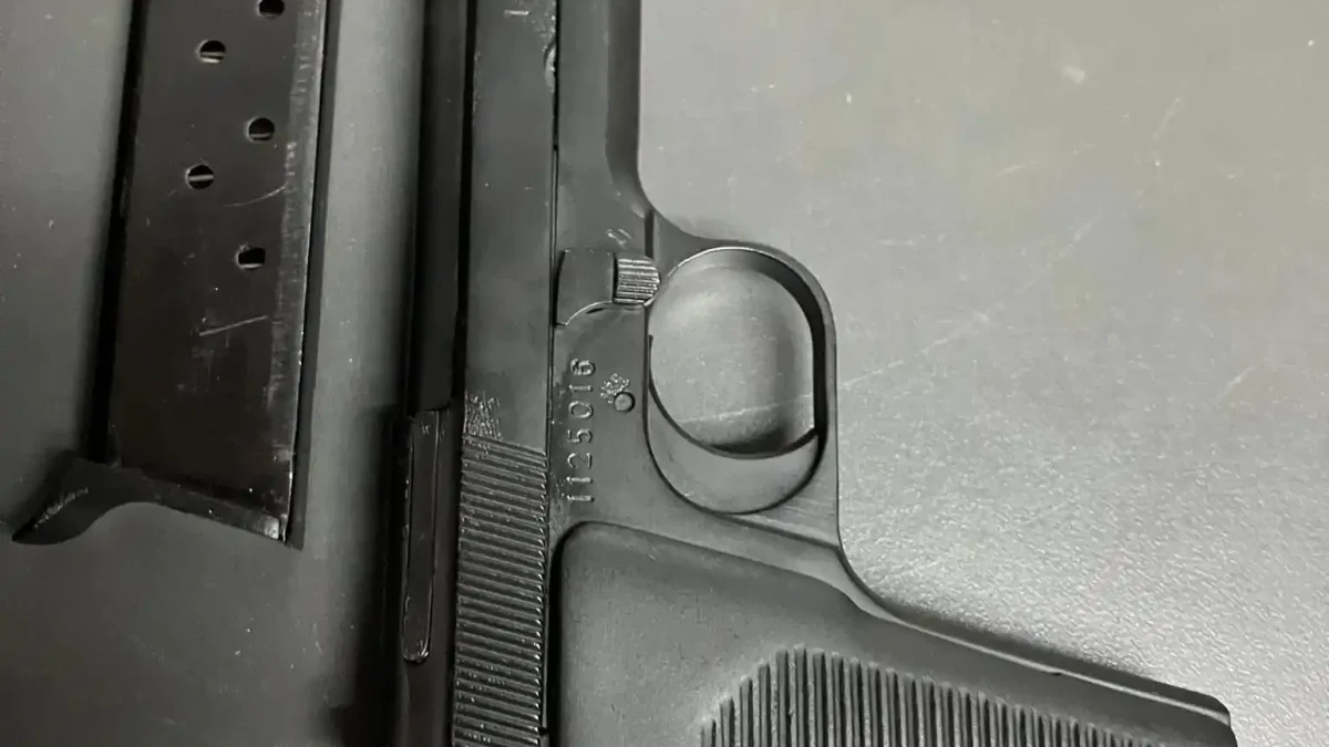 Helwan Brigadier 9mm Range Report