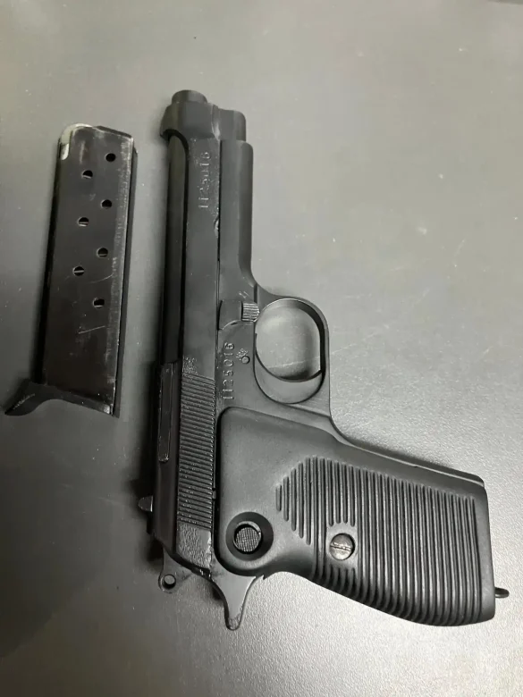 Helwan Brigadier 9mm Range Report
