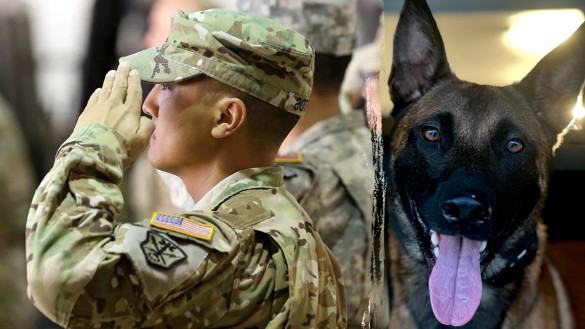 Marine veteran fighting PTSD with service dog program ‘transforming lives’