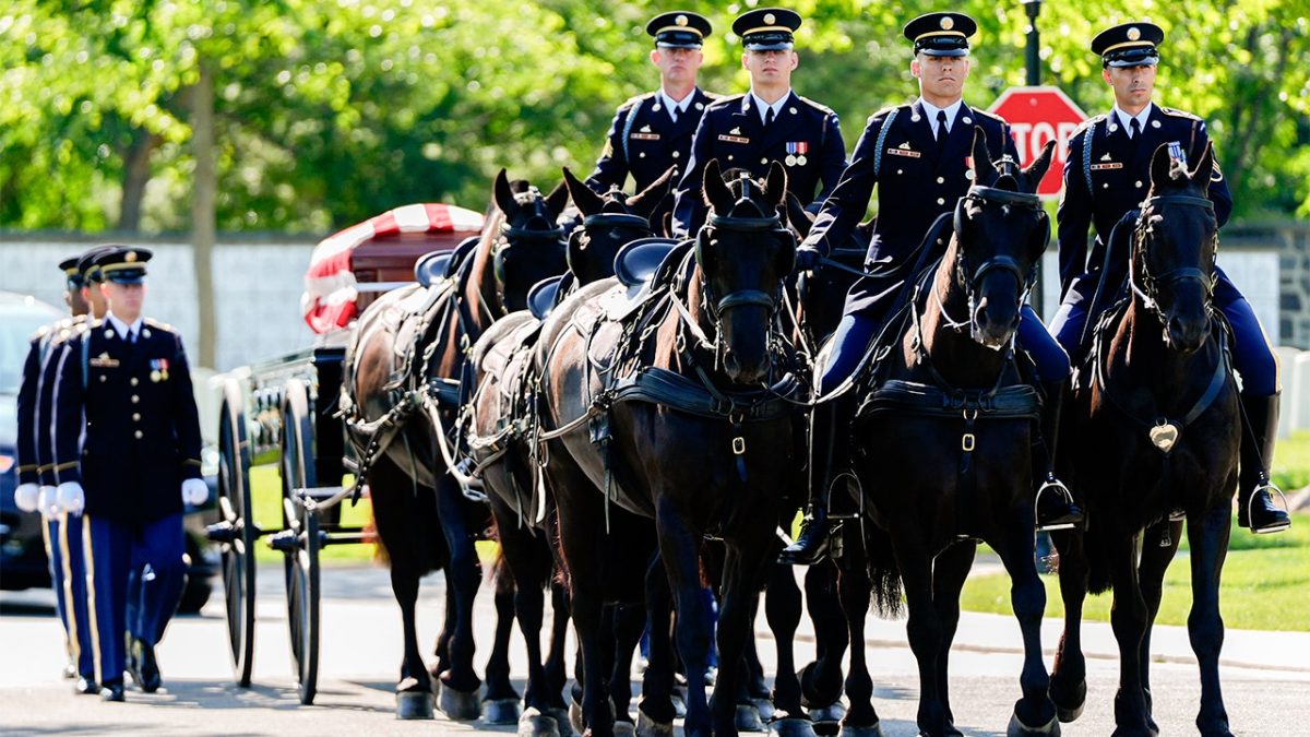 Arlington’s historic Caisson horses return following $28 million renovation
