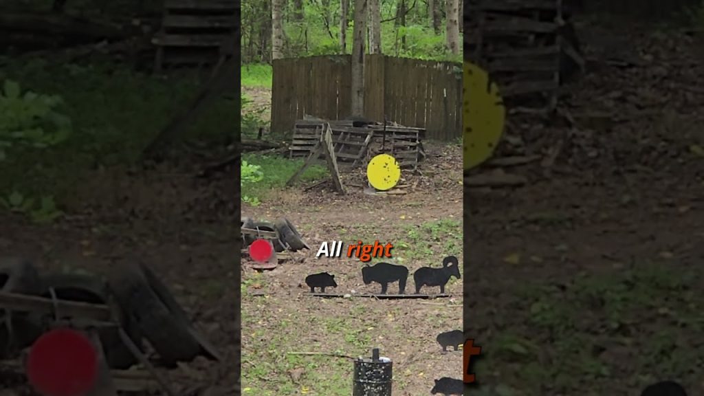 Registered Magnum Vs Gong