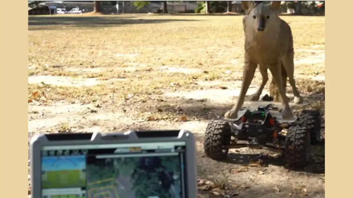 US Army deploys robot coyotes to keep wildlife off military airfields