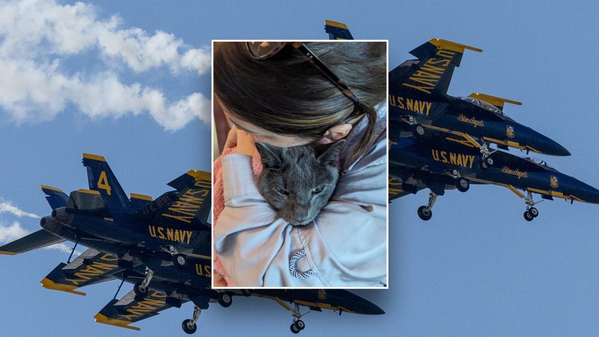 Woman sues Blue Angels after Instagram block over noise complaints for cat