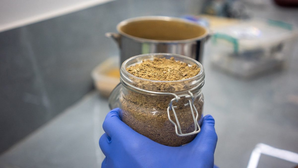 Ibogaine battle: Veterans seek psychedelic treatment illegal in the US
