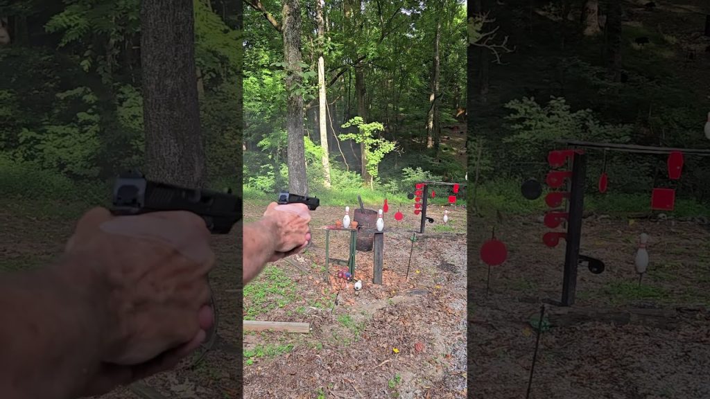 Shadow Systems DR920L Vs Shooting Tree