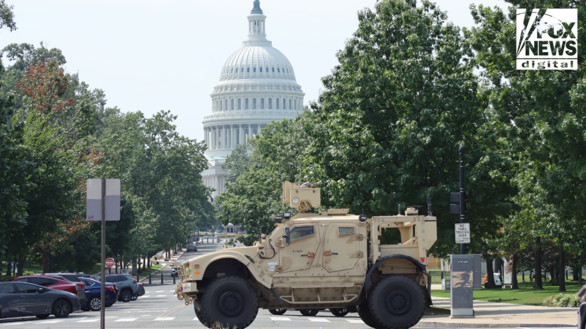 White House separates 19-state National Guard immigration deployments from Trump’s DC crime operation