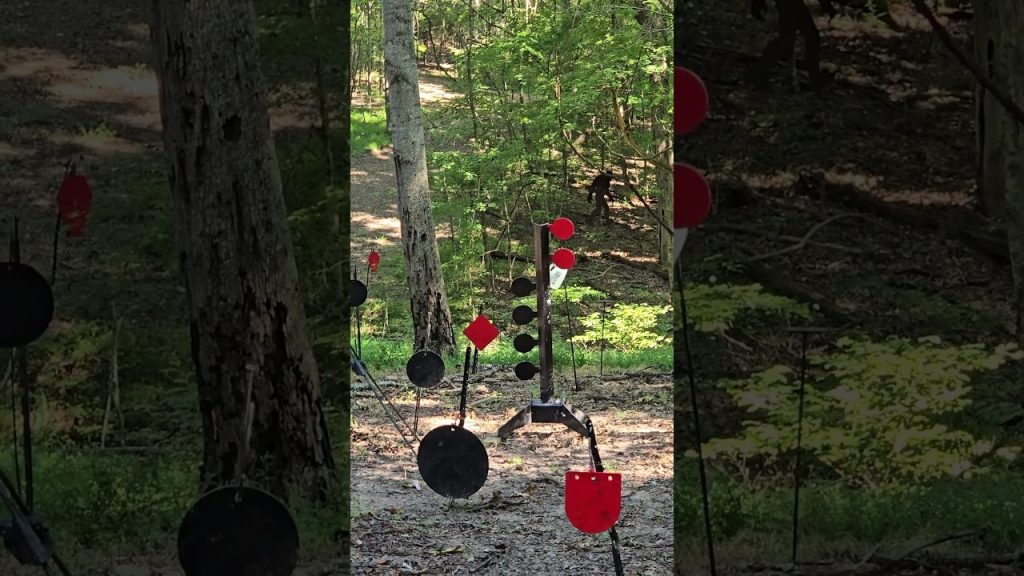 Nighthawk Custom Vs Shooting Tree