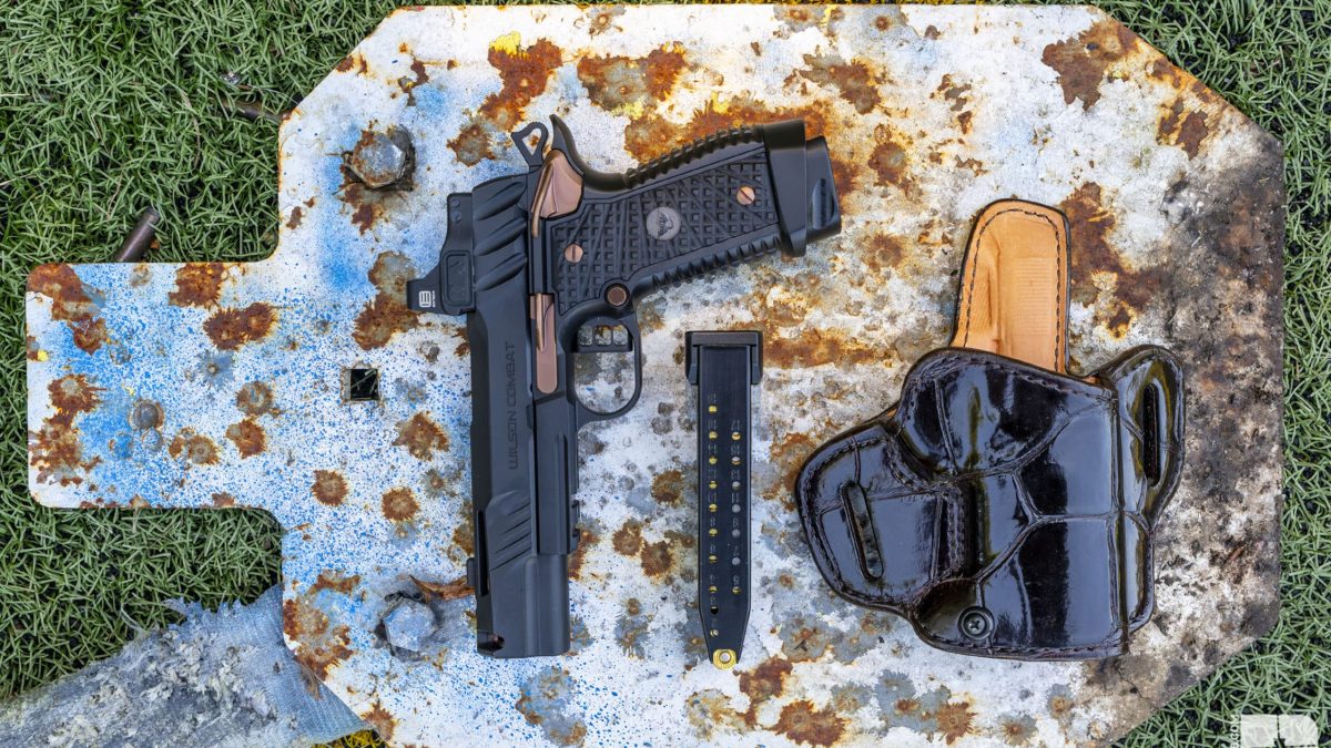 Wilson Combat Division 77 Project 1 [Hands On]