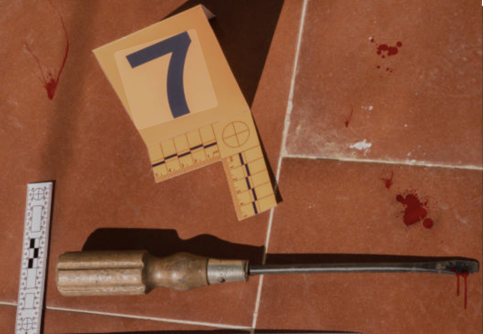 Illinois Mom Shoots Intruder Armed with Screwdriver