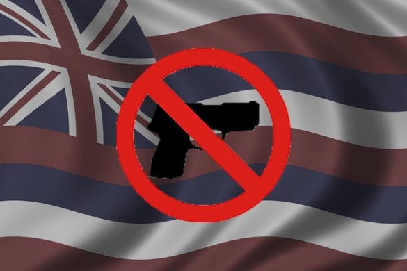 Hawaii Gun Laws Face Major 9th Circuit Showdown