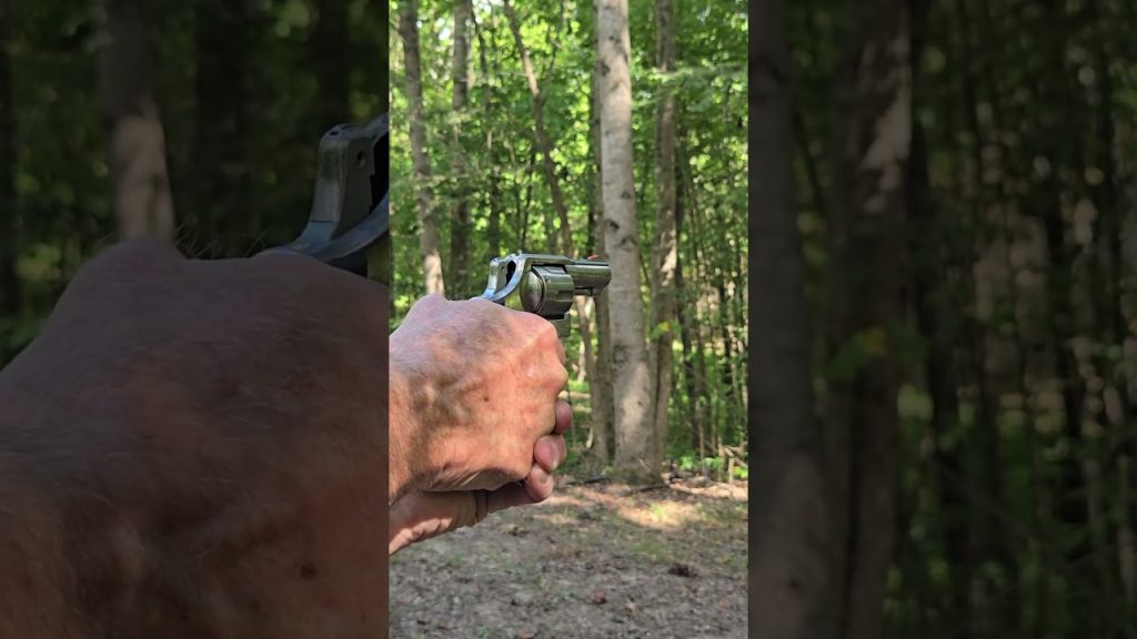 S&W Model 65 Vs Gong