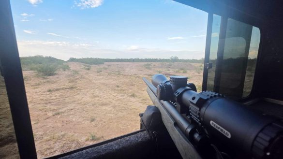 Doves & Hogs In South Texas: An Ideal Beginner’s Hunt