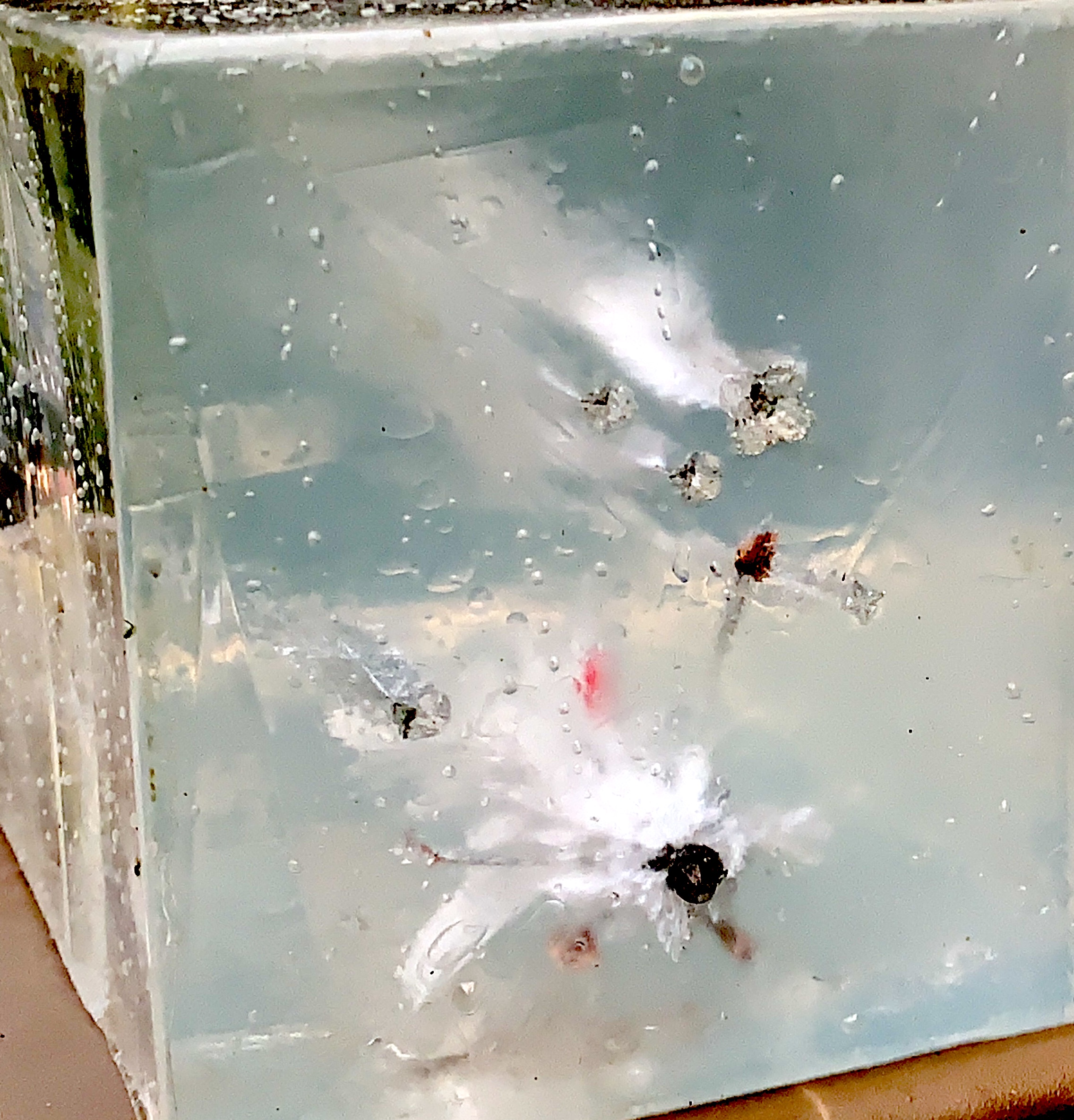 Clear-Ballistics-Gel-4 Clear-Ballistics-Gel-4