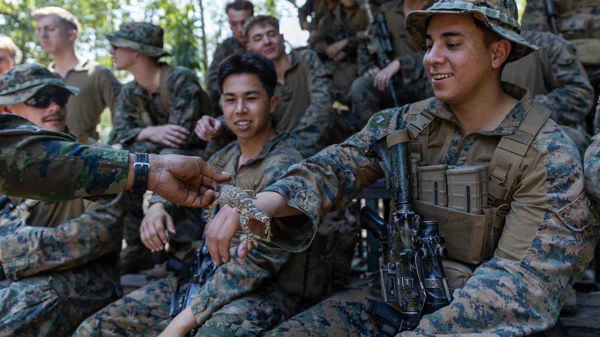 why troops keep naming things after reptiles