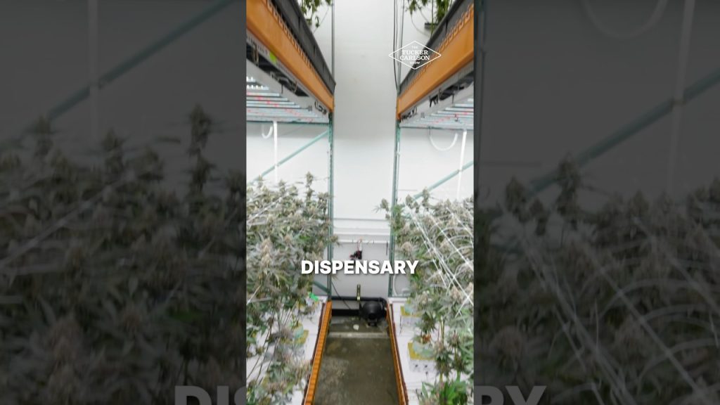 This Is How You’re Being Controlled