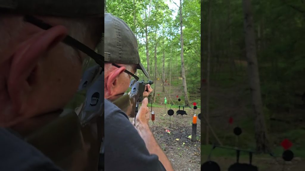 Henry Lever Action Vs Gong