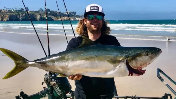 Body of SD Fish and Sips creator Mikey Rijavec recovered near San Cristobal