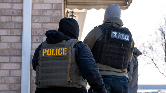 ICE veteran agents arrest sex offenders and criminals on Veterans Day eve