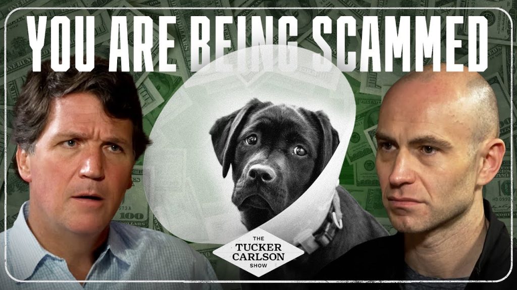 The Private Equity Veterinary Scam Making You Poorer and Killing Your Pets