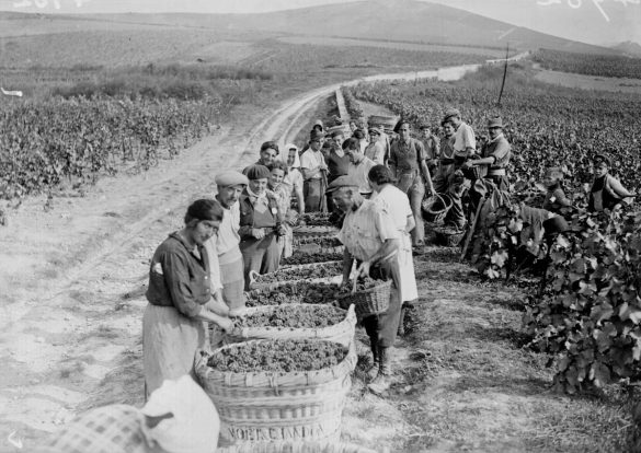 How wine and champagne helped to defeat the Nazis