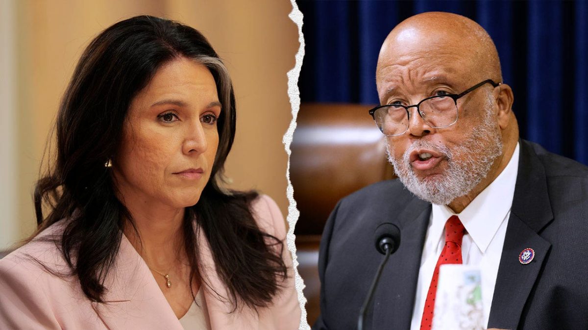 Tulsi Gabbard slams Thompson for calling Guard shooting ‘unfortunate accident’