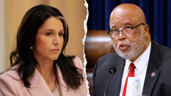 Tulsi Gabbard slams Thompson for calling Guard shooting ‘unfortunate accident’