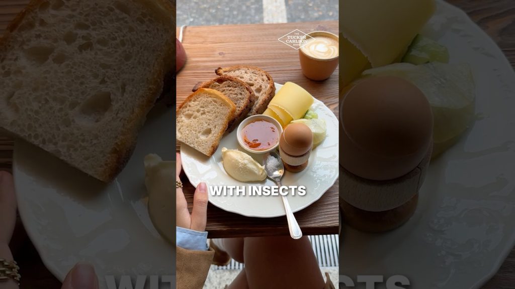 They Want You to Eat Bugs