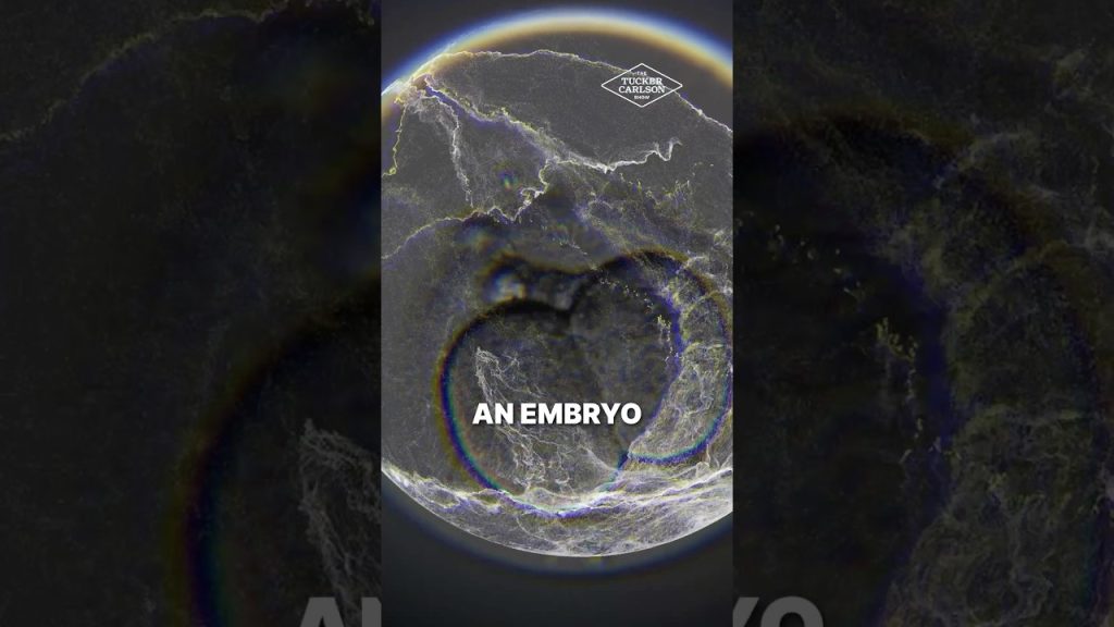 “I Don’t Think There’s a Right, Period.”