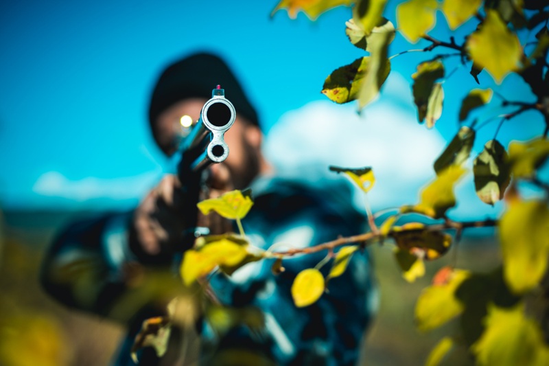 Best Hunting Rifles for Big Game