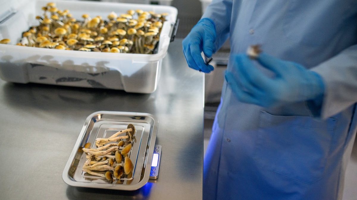 Major VA study to examine effectiveness of psilocybin on depression, PTSD