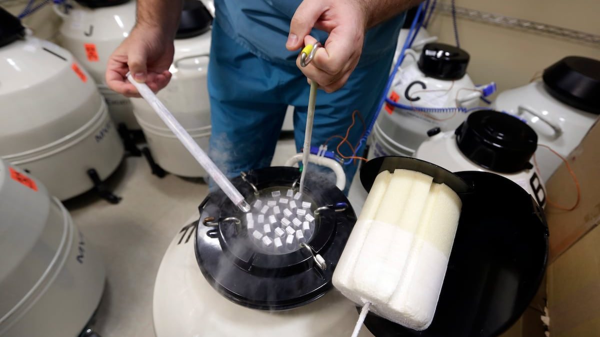 DoD to launch pilot for some service members to freeze sperm, eggs