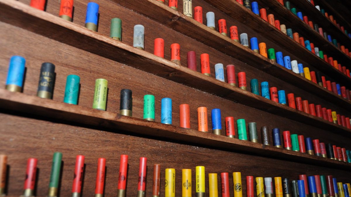 Complete Guide to Ammo: Types, Calibers & Uses