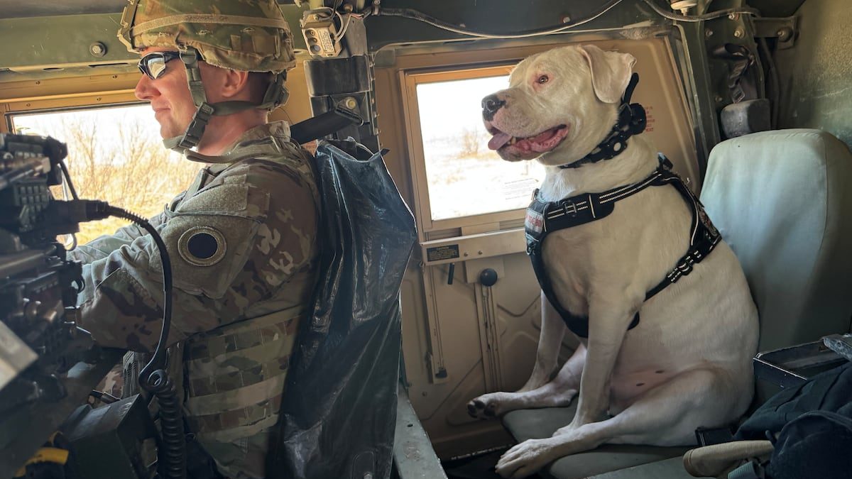 Meet Axel, the deaf rescue dog now set to deploy
